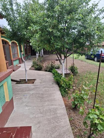 Casa de vanzare comuna suhaia, teleorman - 9