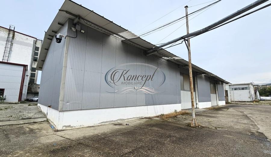 Hale 200-400-1.000 mp, productie, depozitare, logistica - 13