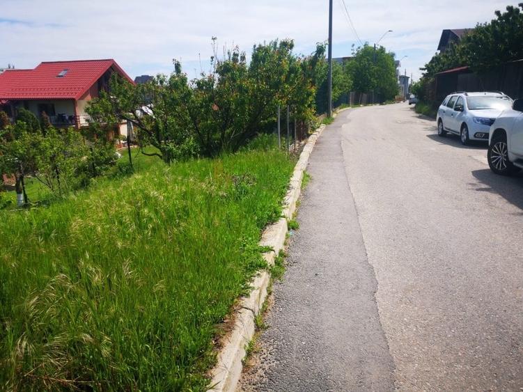 Teren Platou Prundu, 1100 mp, posibilitate parcelare - 2