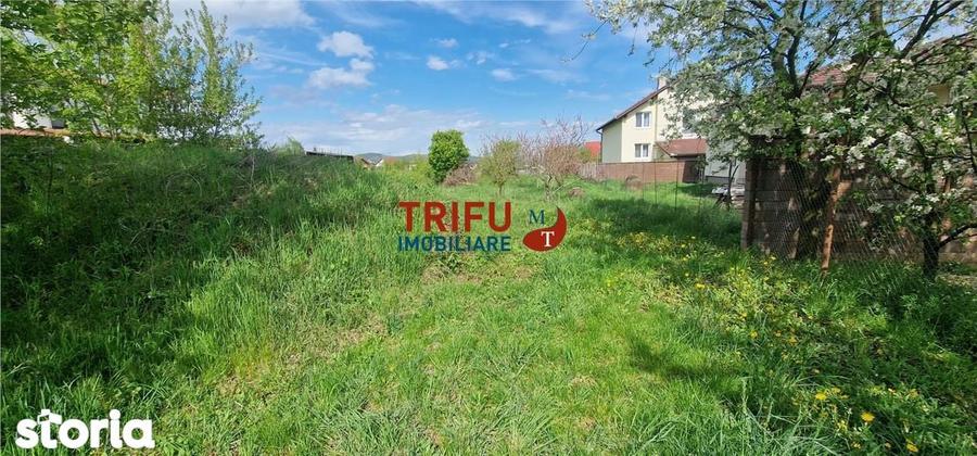 Teren de vanzare zona Micesti - 2