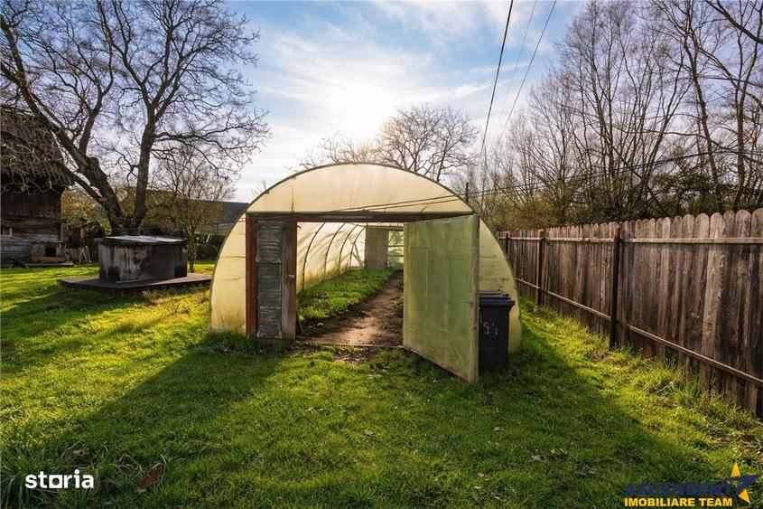 FILM! Casa cu sura, pivnita, balta cu pesti, 2.280 mp teren roditor, L - 9