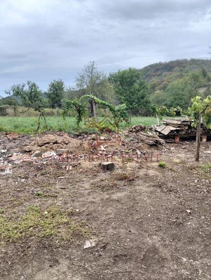 Casa spatioasa | 1500 mp teren - Ticvaniu Mare CS - 11