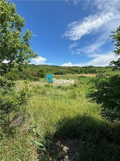 Teren pt case 2000 mp, asfalt, Balciu Miroslava - 1