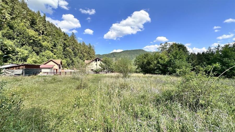 Teren intravilan cu PUZ 4000 mp -Sacele  - Bradet - 14