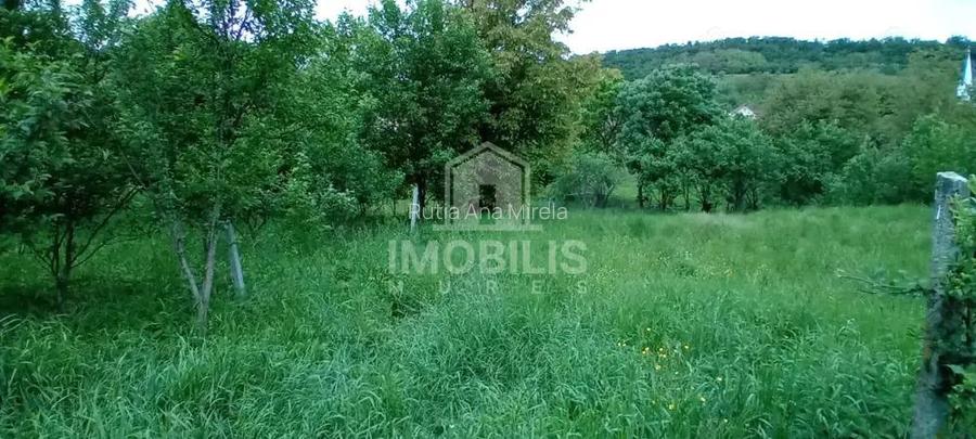 Teren intravilan | Budiu Mic | 994 mp