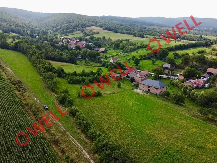 Teren intravilan de vânzare în Dalnic! - 7