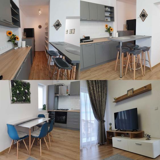 De inchiriat apartament 2 camere - Pomilor - chirie Unirii - 4