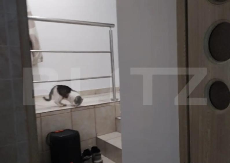 Casa in zona rezidentiala linistita, aproape de oras - panor - 2