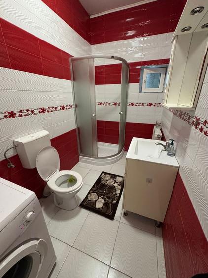 Apartament lugoj de inchiriat - 4