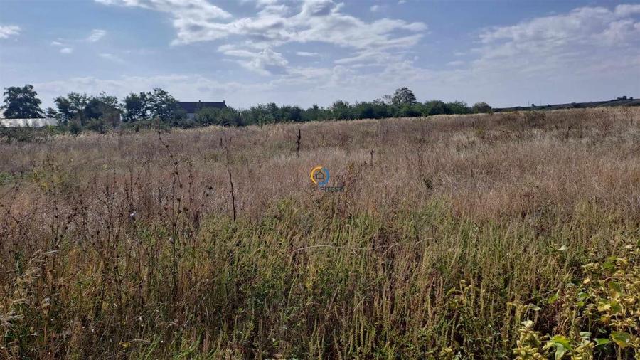 Teren Bradu - loturi pentru case 400  500 mp, utilitati - 1