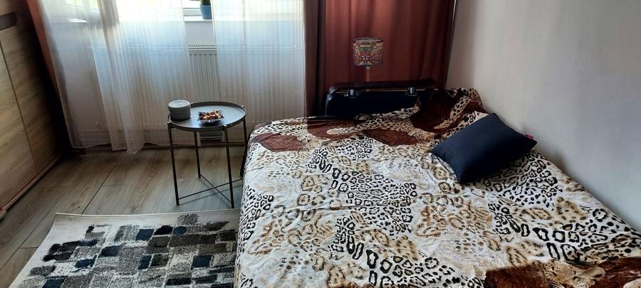 Garsoniera de inchiriat strGranicerilor - 4