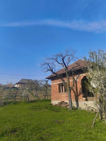 Casa de caramida + teren, sat Bratesti comuna Albesti la 25 de minute de Curtea de Arges! - 1