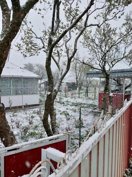 Vand casa sat Dorobanti - 4