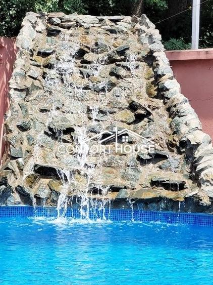 VILA D+P+E+M, 12 camere, piscina , padure, IANCU NICOLAE - 31