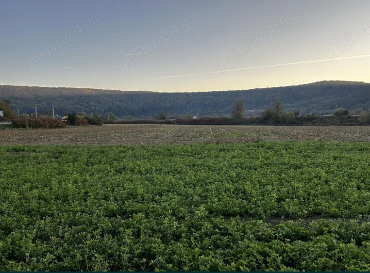 Teren extravilan-arabil 5800m2 - 1