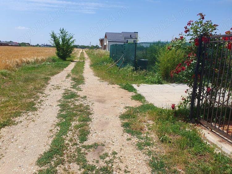 Teren situat in Balotesti,langa padure,acces drum pietruit, 28000 euro - 6