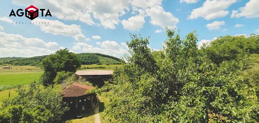 Vand casa nou cu gradina amenajata in Luna de Sus, com. Floresti! - 21