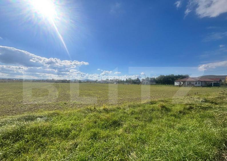 Teren Extravilan in Apropiere de Jelna 25.800 mp, cu Ut Teren Extravilan in Apropiere de Jelna 25.800 mp, cu Ut