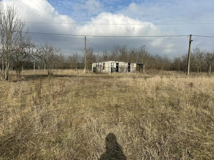 Vand casa in ungaria langa gyula - 1