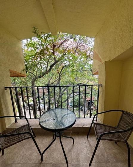 Apartament 2 camere cu terasa Gara de nord - 4