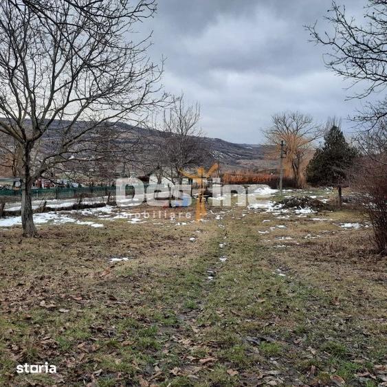 Teren de 10435 mp, în Stănilești