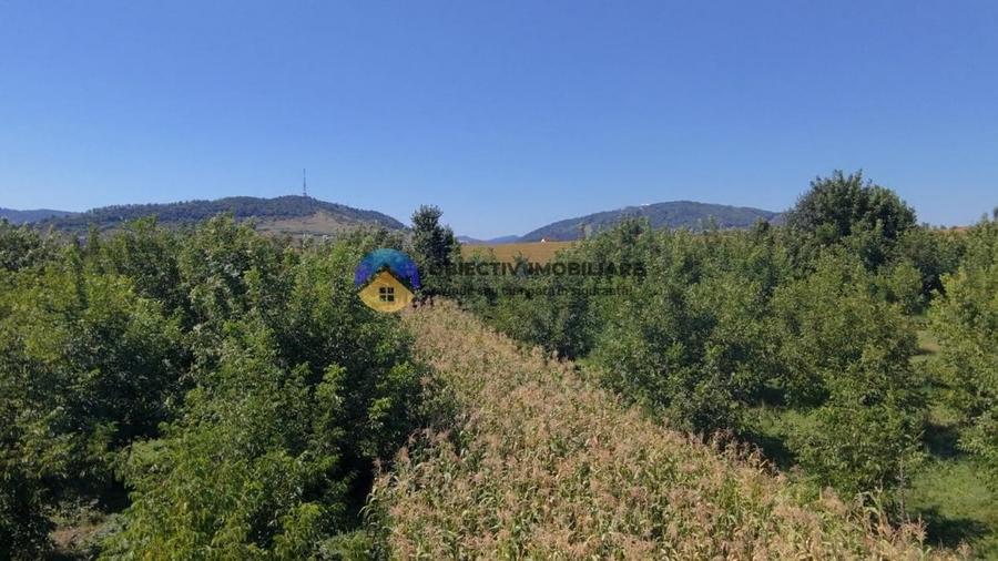 Teren de vanzare 1935 mp Piatra Neamt - Str. Plantelor - 4