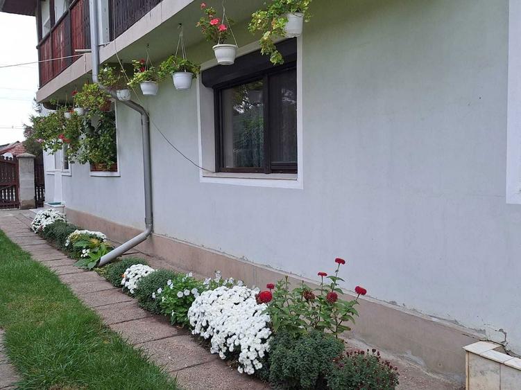 Vanzare imobil Alexandria - 6