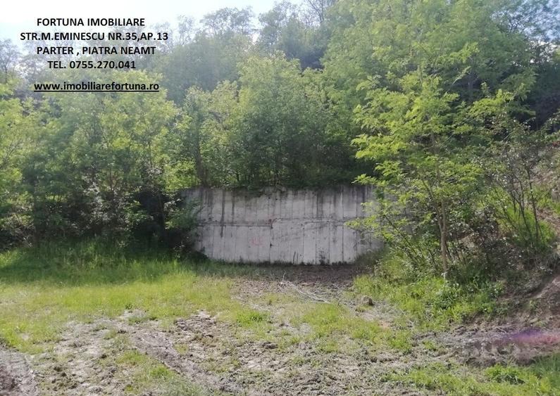 Teren 2000 mp, str.Nicu Albu, cadru natural superb - 3
