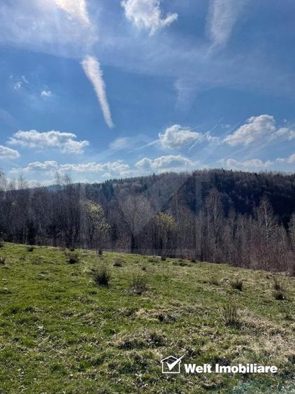 Teren cu panorama pentru cabana, Risca, Valea Fericirii - 3