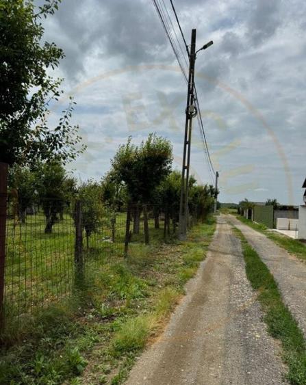 Teren Intravilan - Str. Gorganu, Calinesti - 1268 mp! - 5