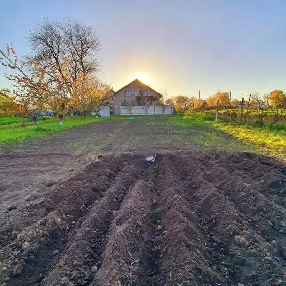 Vand casa la alb. - 6