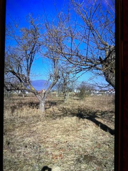 Teren vanzare 500 mp Livada Ghimbav - 4