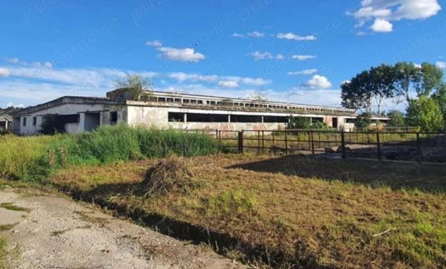 Vand teren cu hala construita pe el - 8