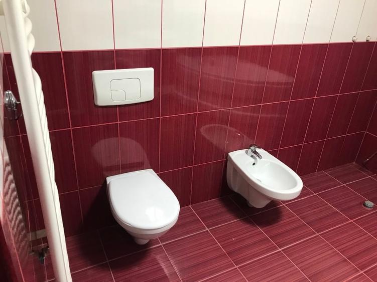 Spatiu comercial si casa de vanzare - 12