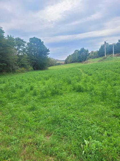 Vand Teren Intravilan .Suprafata de 7100 m2. - 1