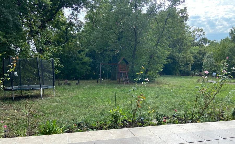 Proprietate inedita cu teren de 4400, si deschidere cu ponton pe Bega - 7