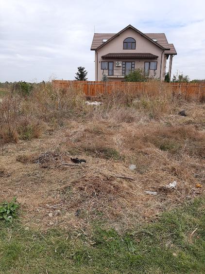 Teren  PERIS- Movila  - 8