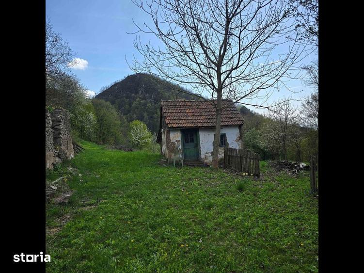 Teren de vis cauta proprietar. - 2