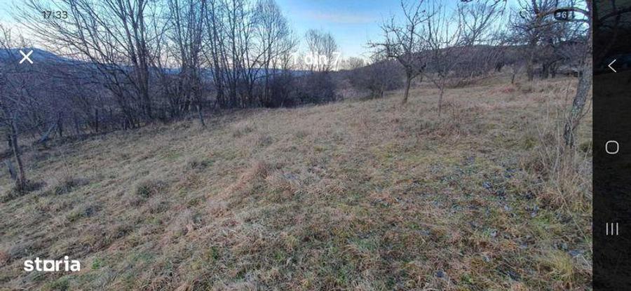 Vind teren intravilan sau extravilan Cacova Ierii - 1