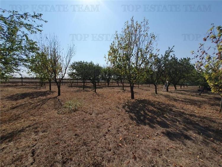 Teren intravilan agricol si teren curti constructii Lot 2 Parcela A326/49 - 2