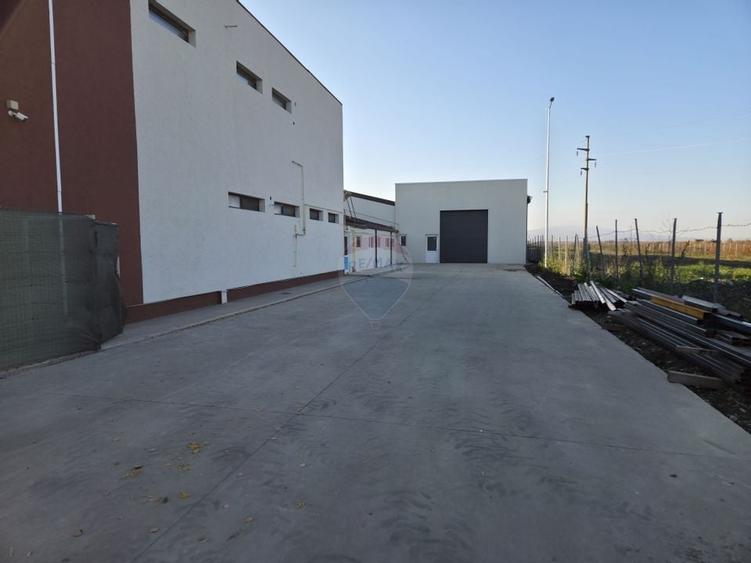 Hala plus spatiu birouri, zona Strada Vrancei - 2