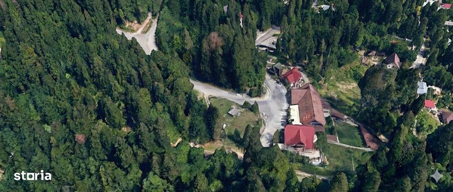 Oportunitate de Investi?ie: Teren 1.814 mp | Calea Codrului, Sinaia - 4
