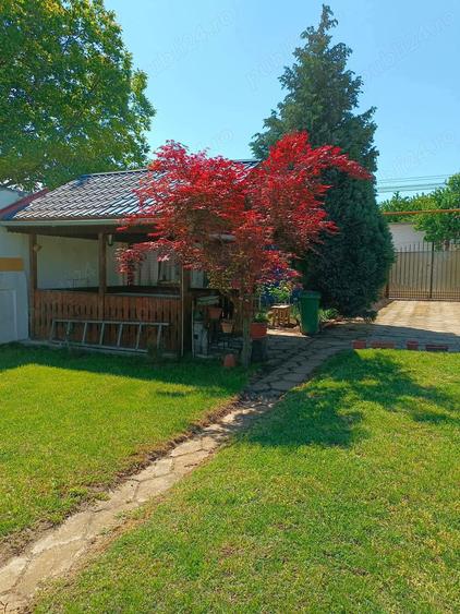 Casa P+M mobilata, curte si gradina mare - 2