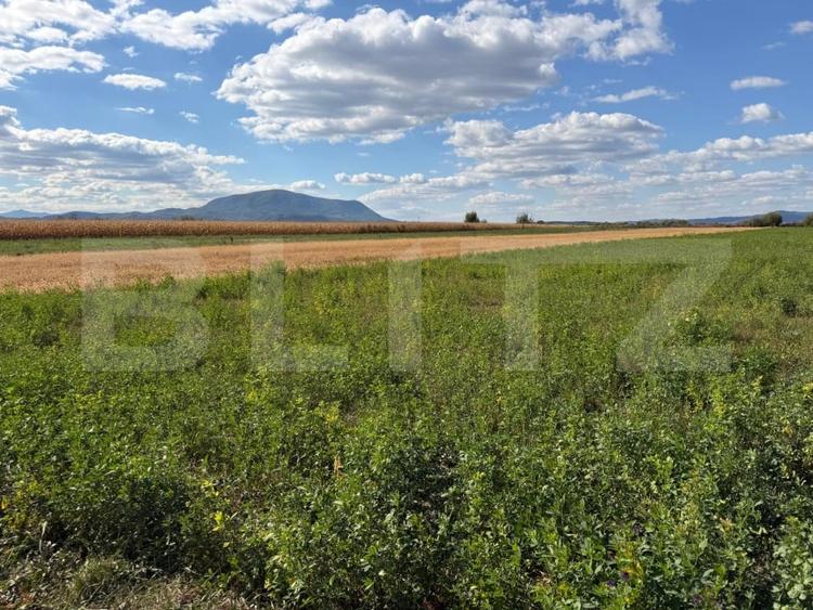 Teren Construcții intravilan de 3300 mp, în Stupini