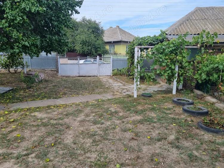 Vand schimb casa aproape de Dunare, muntii Macinului, zona viticola - 6