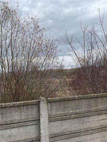 RECO vindem teren intravilan in Suncuius - 6