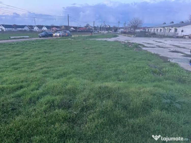 Teren intravilan industrial - 5