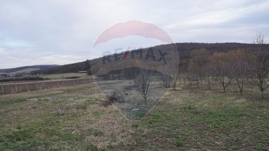 Teren de vanzare 517mp, sat Zapodia, com. Traian, jud Bacau - 2