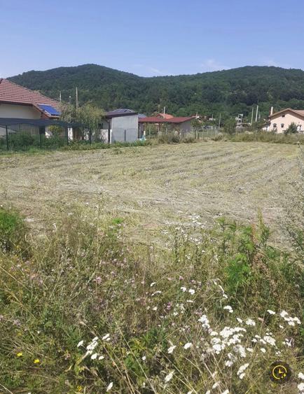 Vand 740 mp teren intravilan, Balotesti - Mehedinti - 1