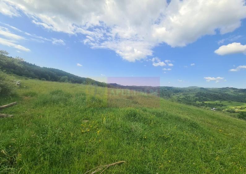 Teren intravilan de vanzare in Breaza (dezvoltare imobili... - 1